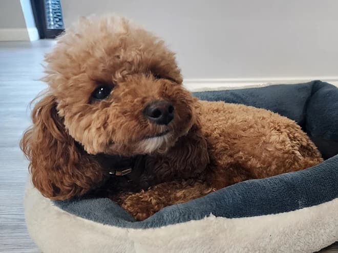 The AK Water Works team