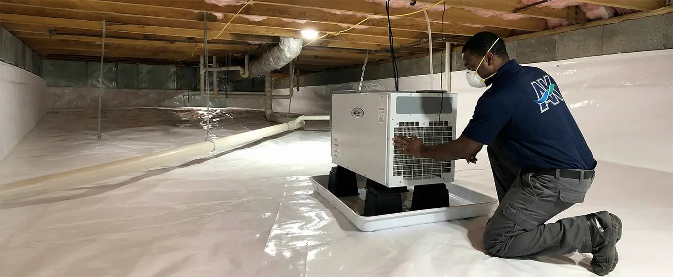 Professional crawl space encapsulation service