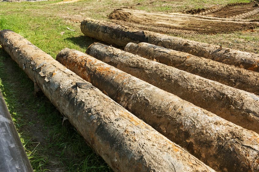 Top Causes of Sewer Line Issues in Boardman Ohio and How We Can Help