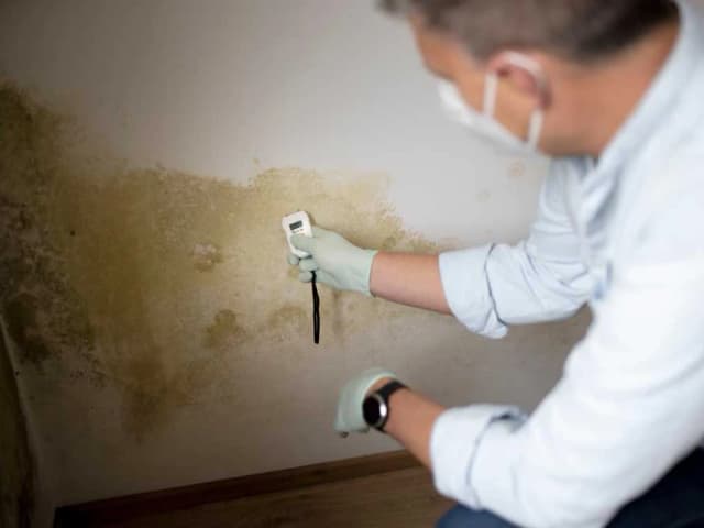 Damp Basement Repair - Girard, OH